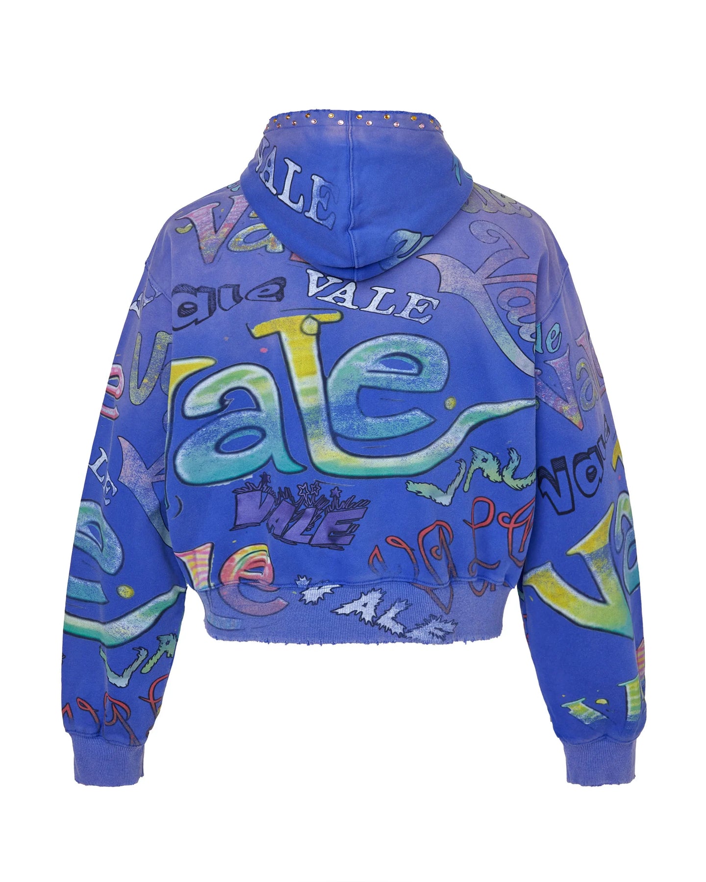 Vale Forever Iceberg Zip Up Hoodie Blue