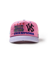 Vale Forever Piggy Bank Snap Hat Pink