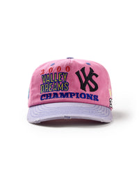 Vale Forever Piggy Bank Snap Hat Pink