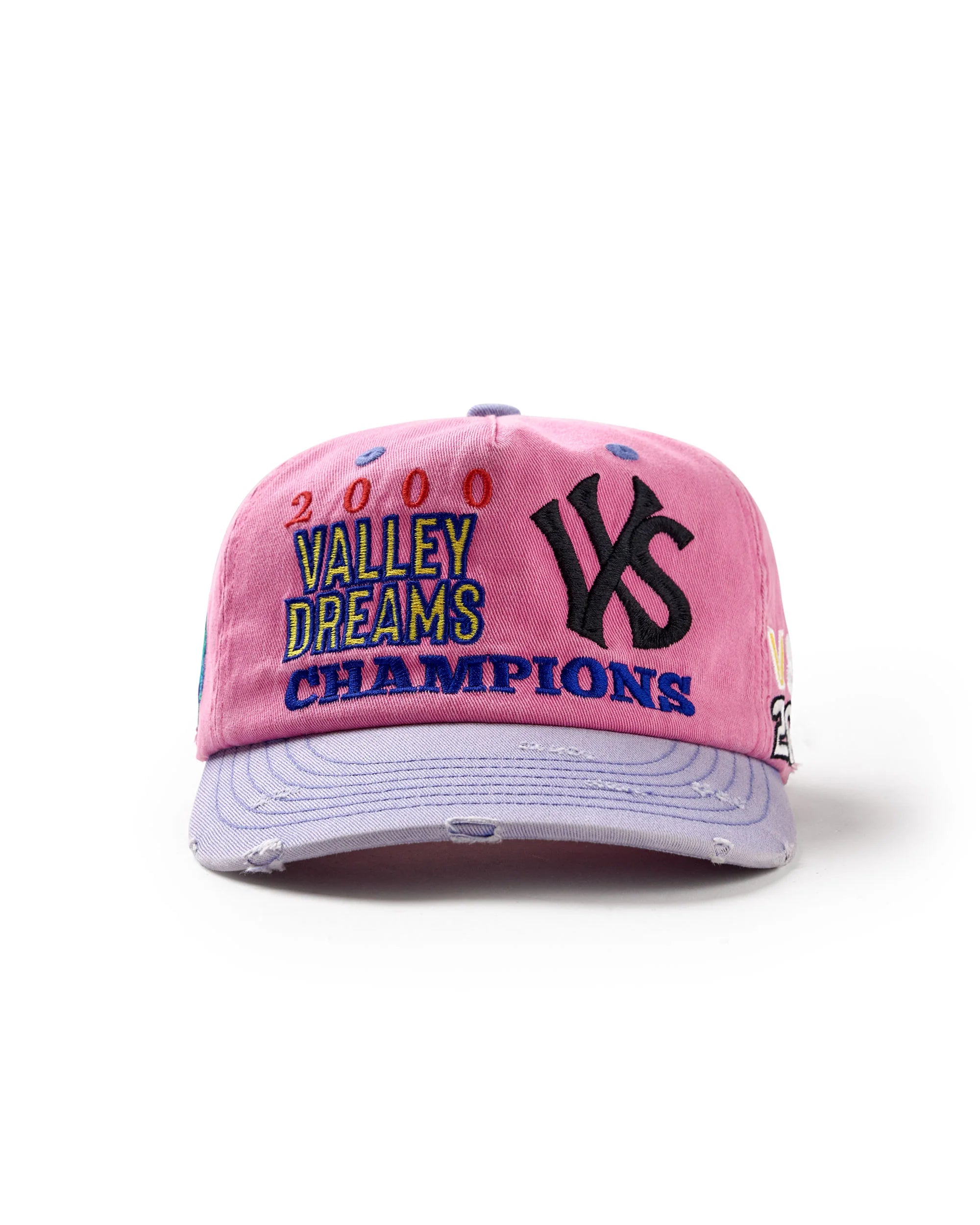 Vale Forever Piggy Bank Snap Hat Pink