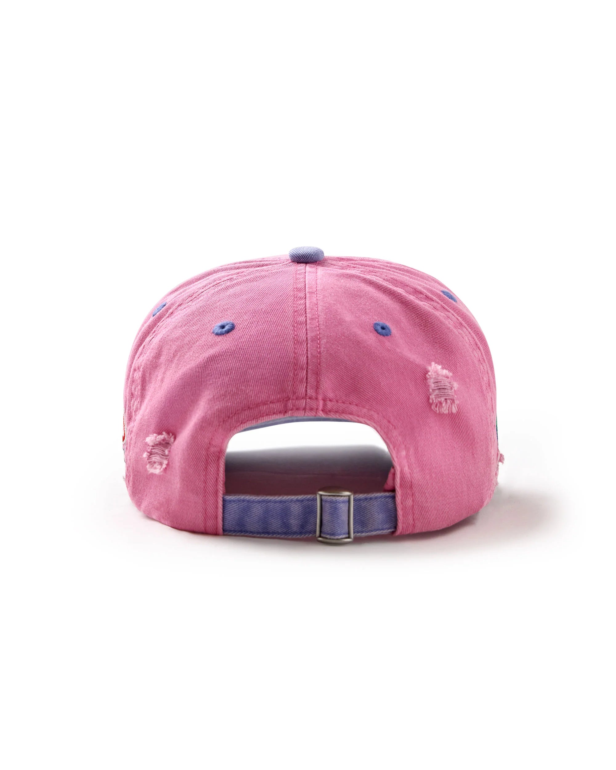 Vale Forever Piggy Bank Snap Hat Pink