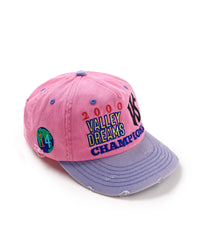 Vale Forever Piggy Bank Snap Hat Pink