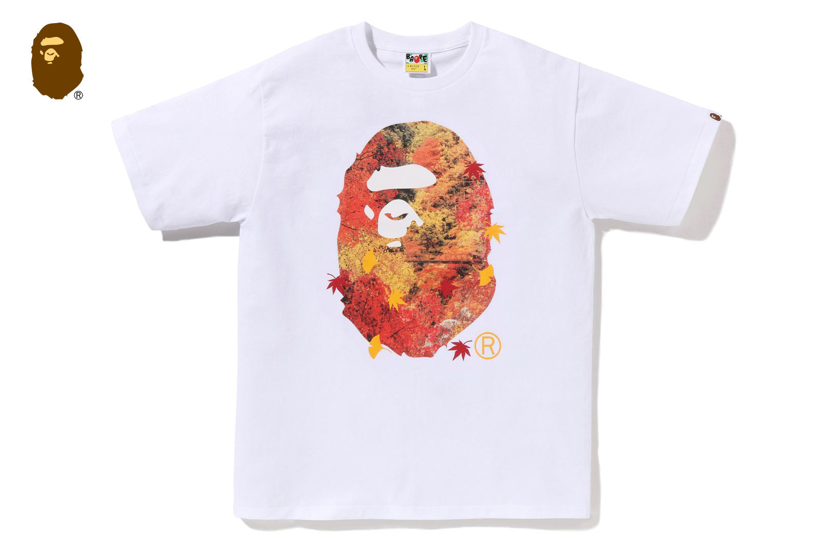 Japan Autumn Photo Ape Head Tee White