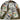 Supreme Money Beanie Woodland Camo Green