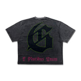 Godspeed Vandal Tee Grey Wash