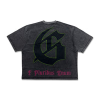 Godspeed Vandal Tee Grey Wash