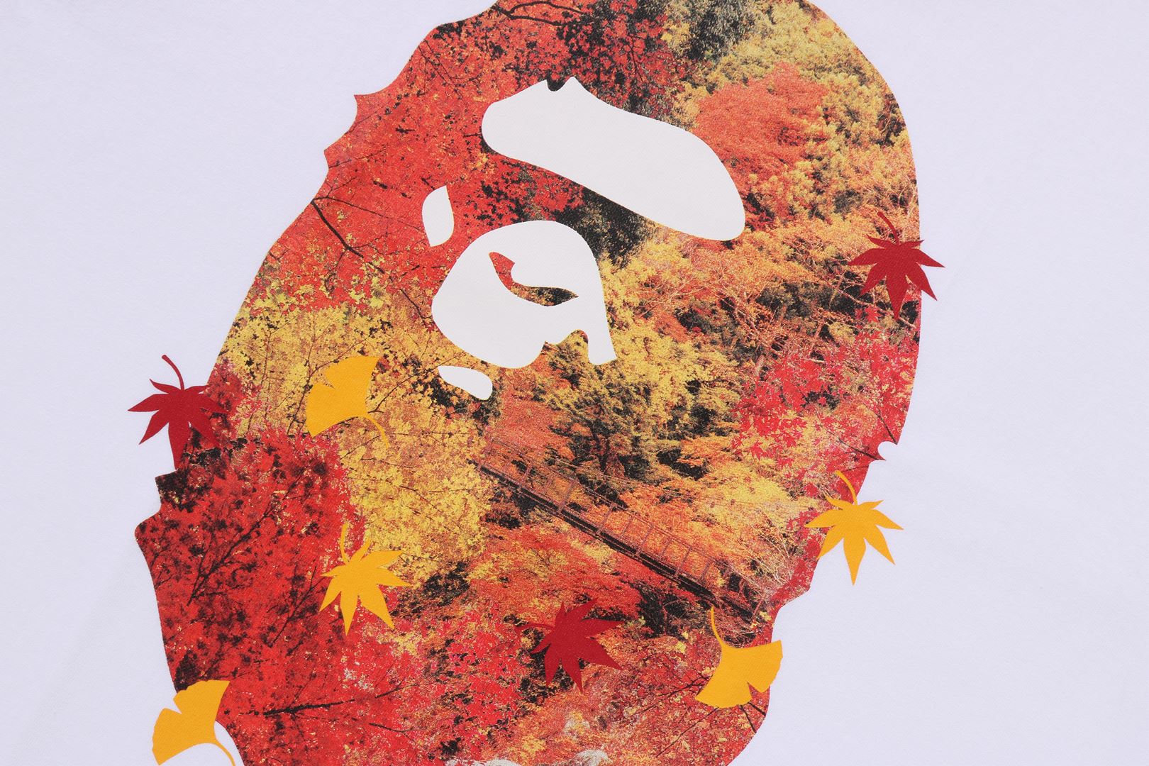 Japan Autumn Photo Ape Head Tee White