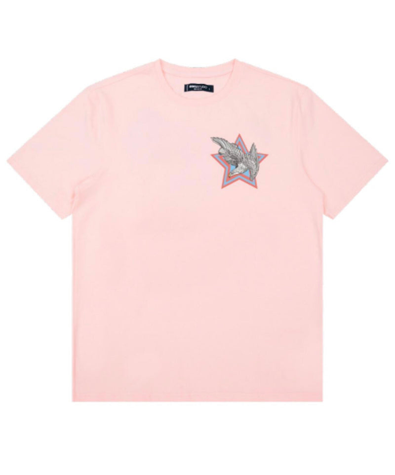 Roku Studio (Pink"Fearless tour" t-shirt)