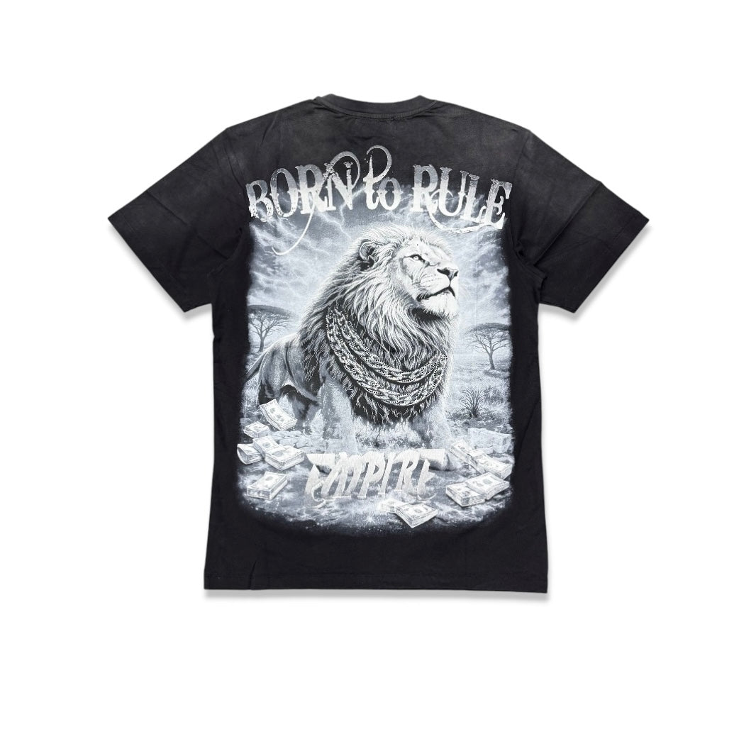 Denimicity Men's Royalty Tee Black