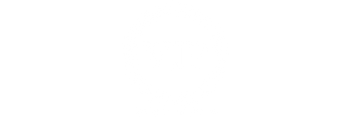 VIP Clothing Company