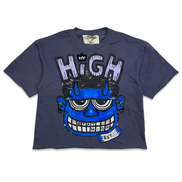 Bkys Grey stay high cropped t-shirt