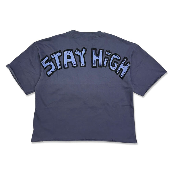 Bkys Grey stay high cropped t-shirt