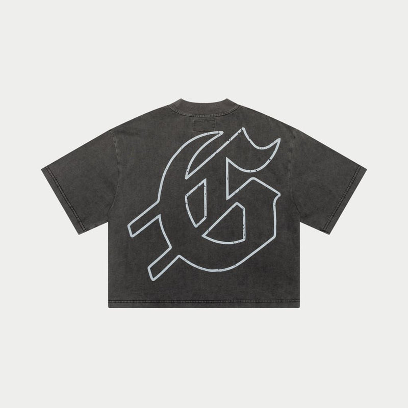 Godspeed (Grey wash "surf day cropped  t-shirt)