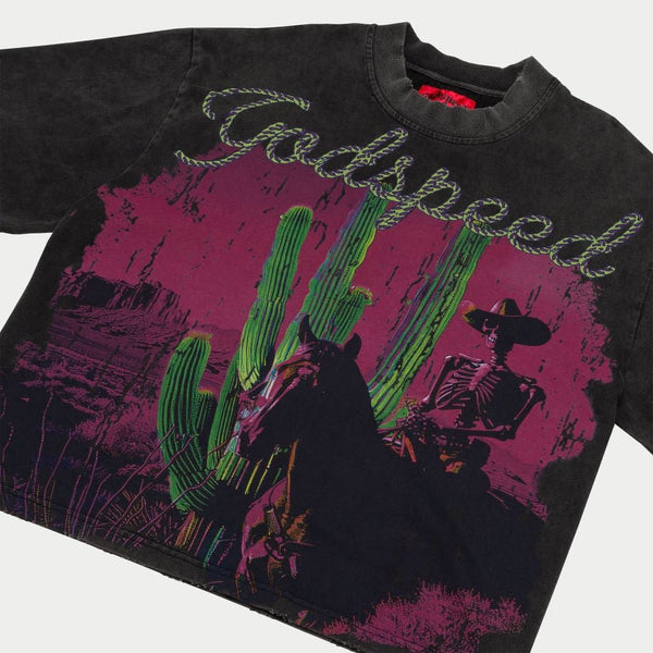 Godspeed (Grey wash 'West World' cropped T-Shirt)