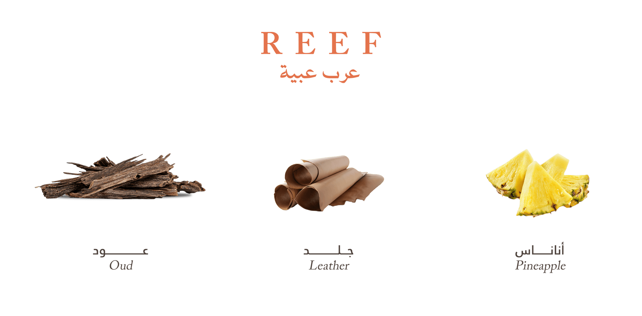 REEF Perfume Arab Obaya Warmth of luxurious leather
