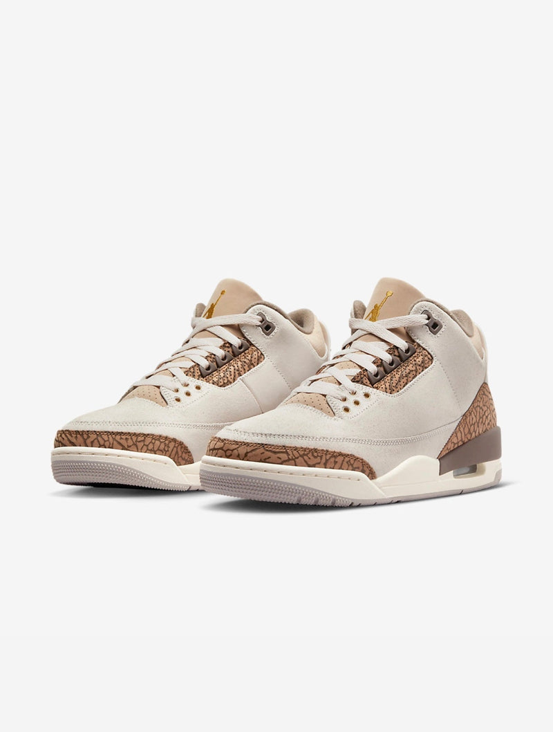 Nike Air Jordan 3 Retro 'Palomino' 2023