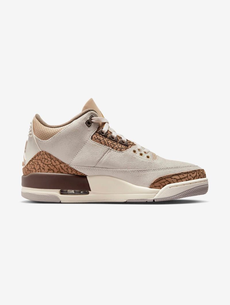 Nike Air Jordan 3 Retro 'Palomino' 2023