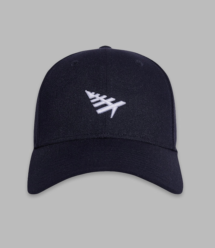 Paper Planes (Navy Dad hat)