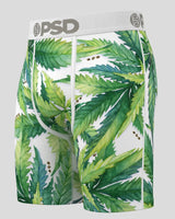 PSD Men's Underwear - Seeds & Stems - 424180092