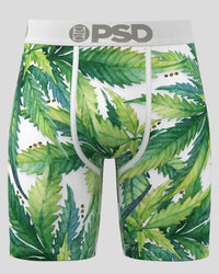 PSD Men's Underwear - Seeds & Stems - 424180092
