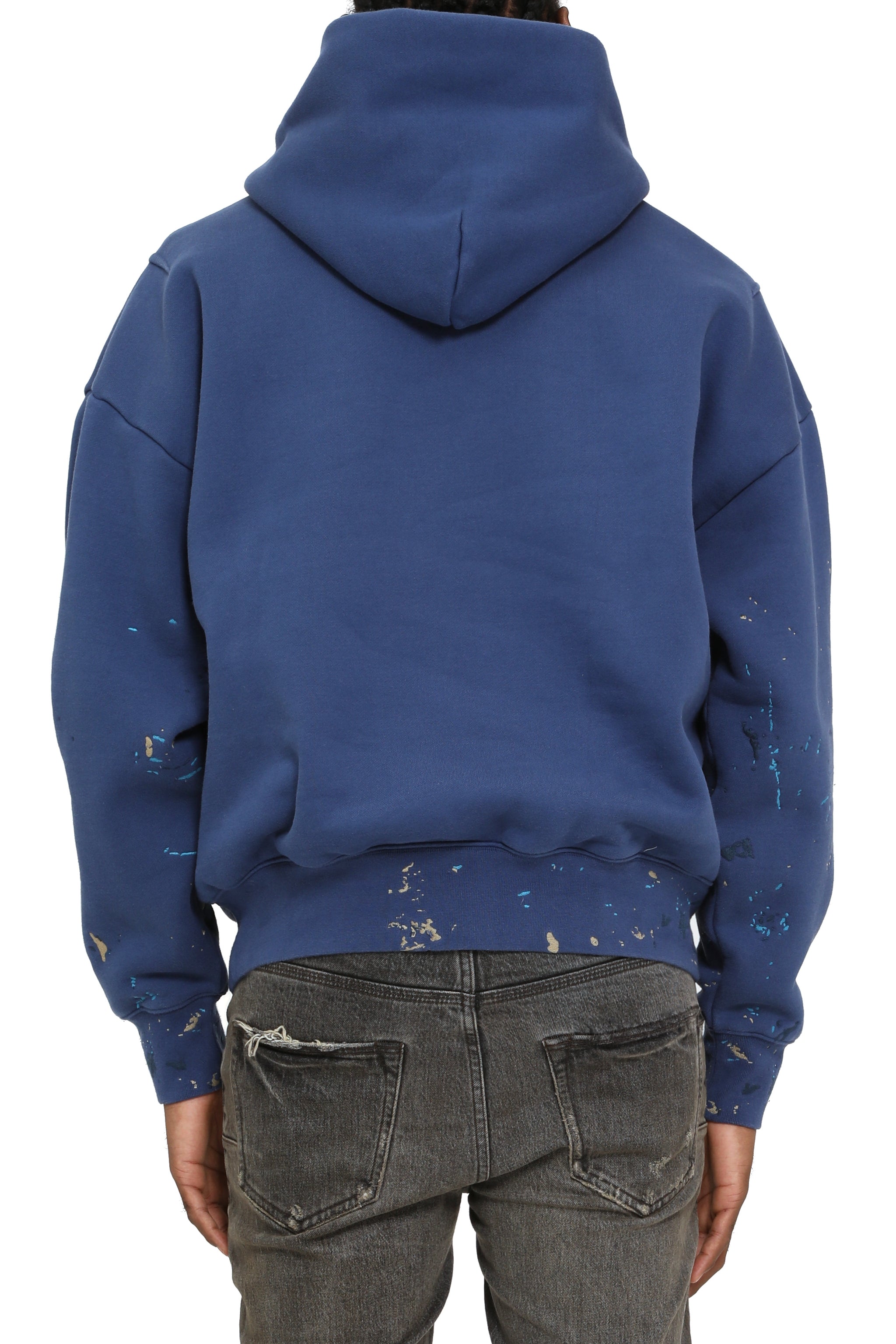 Purple Brand Mwt Fleece Po Hoodie Blue