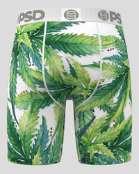 PSD Men's Underwear - Seeds & Stems - 424180092