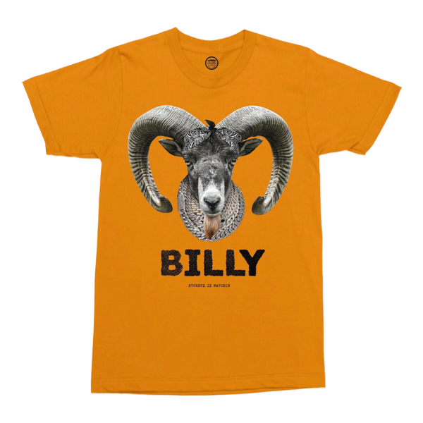 streetz iz watchin (orange billy t-shirt)