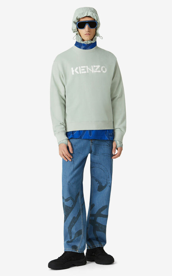 Kenzo (grey/green logo sweatshirt)